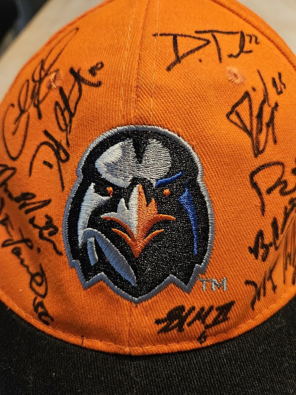 Aberdeen IronBirds Cal Ripken, Team Signed Hat with Mascot Signature, Baseball